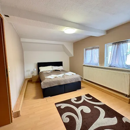 Poseidon Altstadt Apartment Hirschhorn